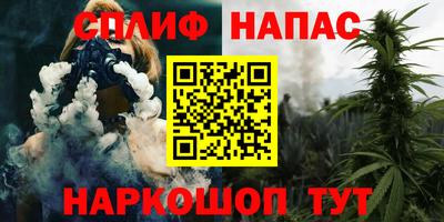 гашик Нальчик