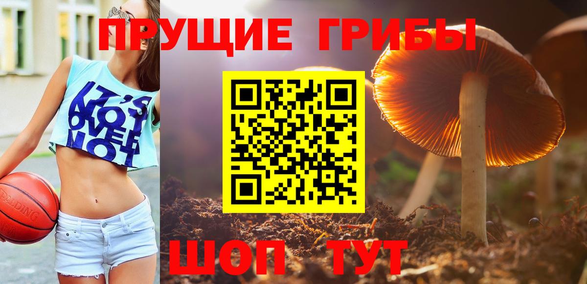 Симферополь  Псилоцибиновые грибы Psilocybine cubensis  Галлюциногенные грибы прущие грибы  Вход с VPN 