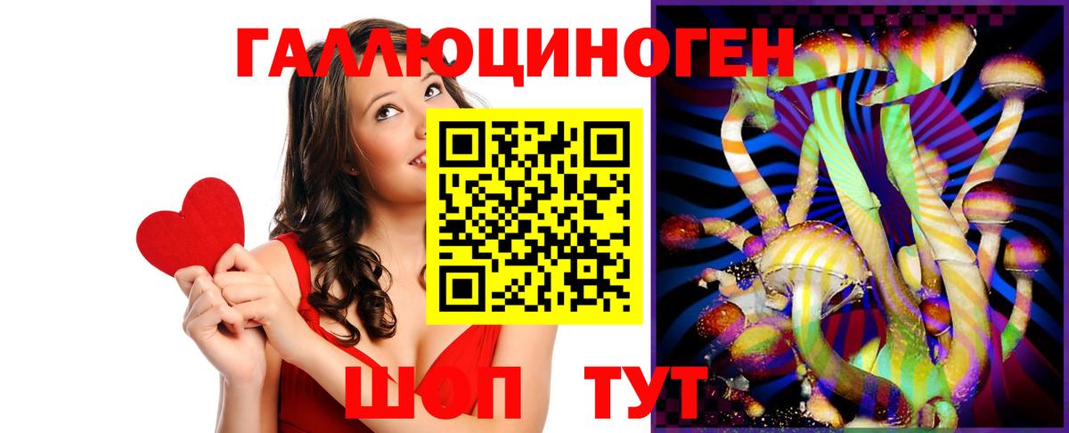 Галлюциногенные грибы Psilocybine cubensis Симферополь